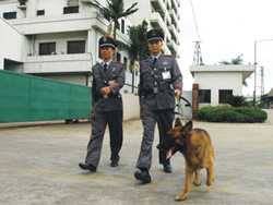 得安犬防服務(wù)